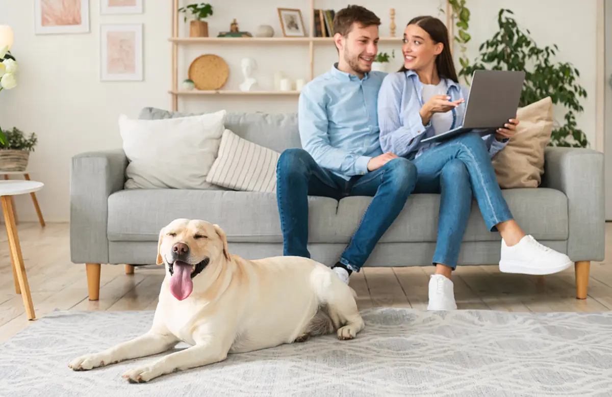 The Pet Factor: Why Coppell Landlords Should Consider Pet-Inclusive Leasing